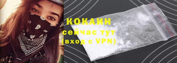 мет Протвино