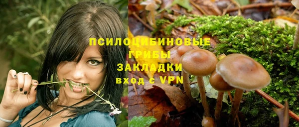 мет Протвино