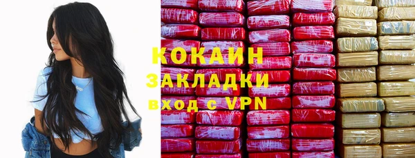 мет Протвино