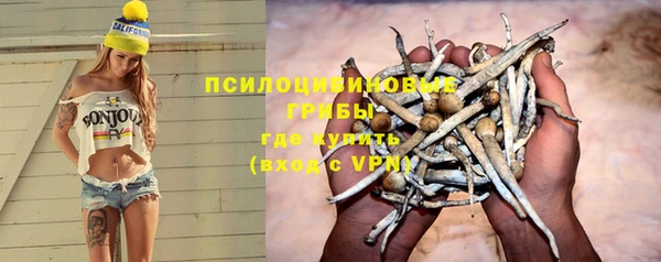 дживик Покачи