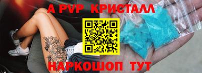 гашик Будённовск