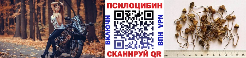 Галлюциногенные грибы GOLDEN TEACHER  Дербент 