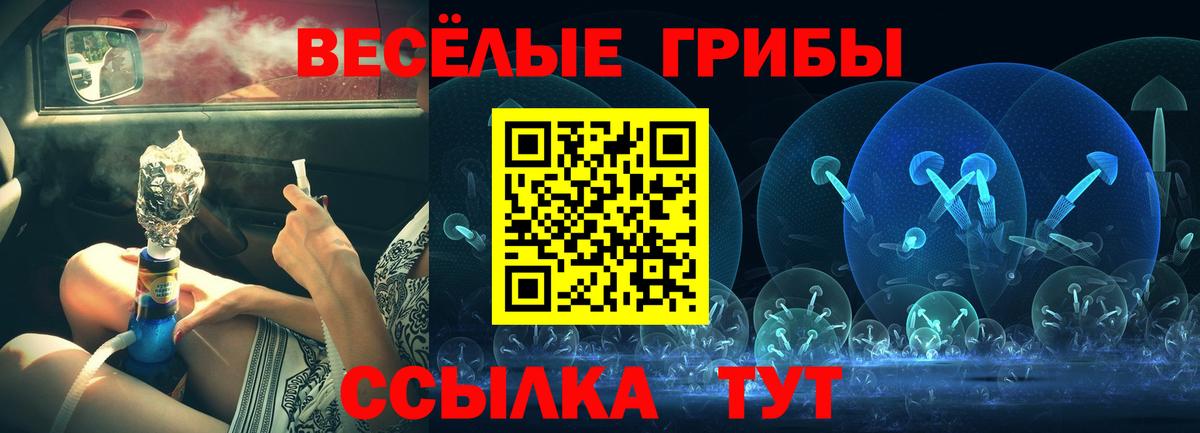 Псилоцибиновые грибы Cubensis Дербент