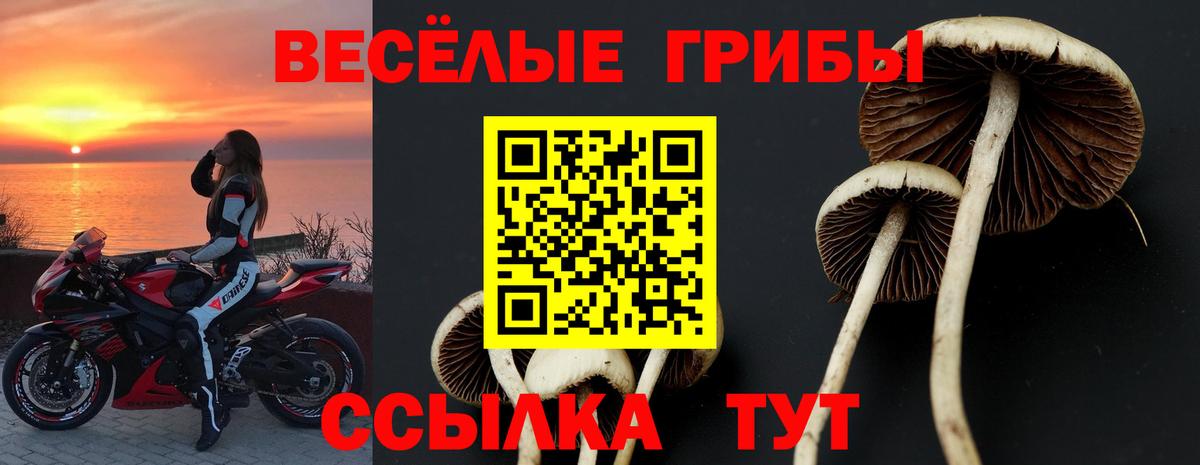 как найти закладки  Вход с VPN  Дербент  Галлюциногенные грибы MAGIC MUSHROOMS 